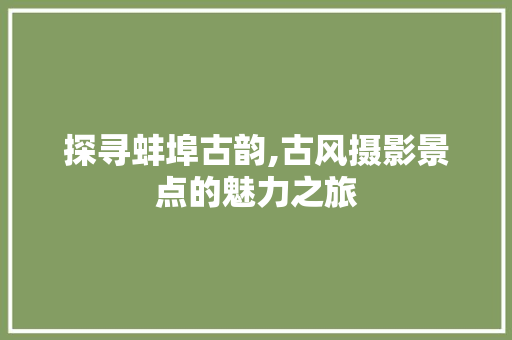 探寻蚌埠古韵,古风摄影景点的魅力之旅