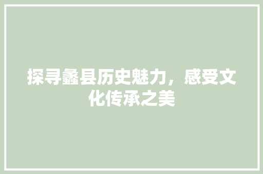 探寻蠡县历史魅力，感受文化传承之美