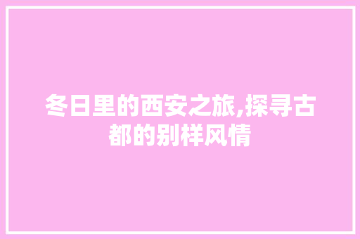 冬日里的西安之旅,探寻古都的别样风情  第1张