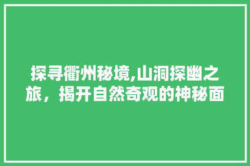 探寻衢州秘境,山洞探幽之旅，揭开自然奇观的神秘面纱