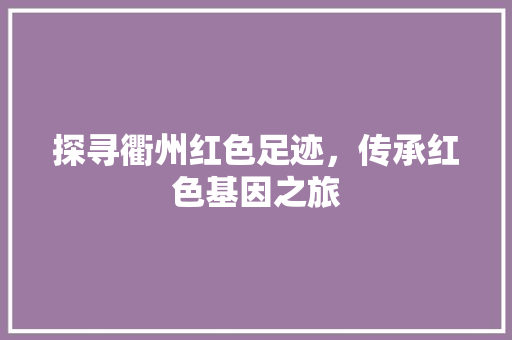 探寻衢州红色足迹，传承红色基因之旅