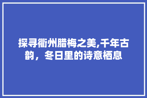 探寻衢州腊梅之美,千年古韵，冬日里的诗意栖息