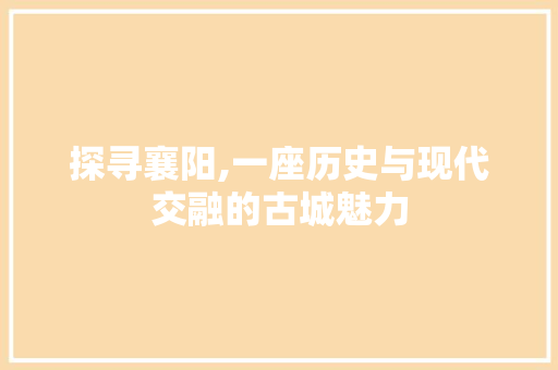 探寻襄阳,一座历史与现代交融的古城魅力