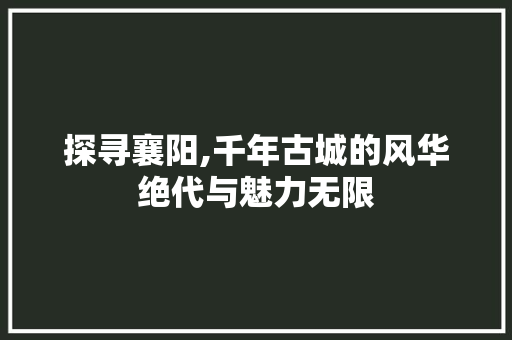 探寻襄阳,千年古城的风华绝代与魅力无限  第1张