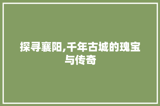 探寻襄阳,千年古城的瑰宝与传奇