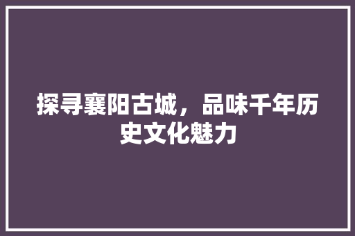 探寻襄阳古城，品味千年历史文化魅力