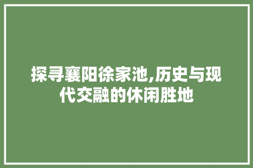 探寻襄阳徐家池,历史与现代交融的休闲胜地