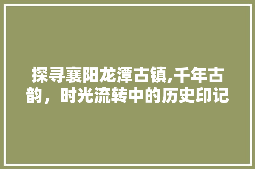 探寻襄阳龙潭古镇,千年古韵，时光流转中的历史印记