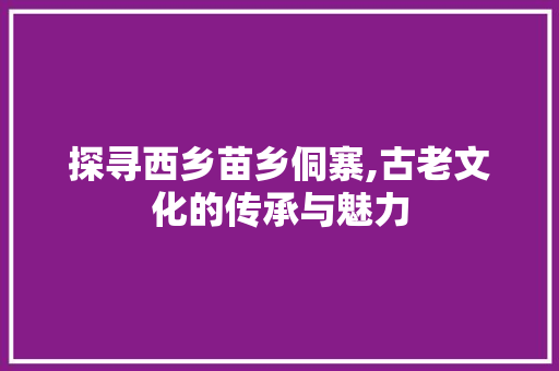 探寻西乡苗乡侗寨,古老文化的传承与魅力