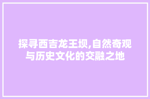 探寻西吉龙王坝,自然奇观与历史文化的交融之地