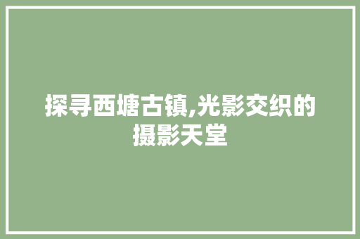 探寻西塘古镇,光影交织的摄影天堂