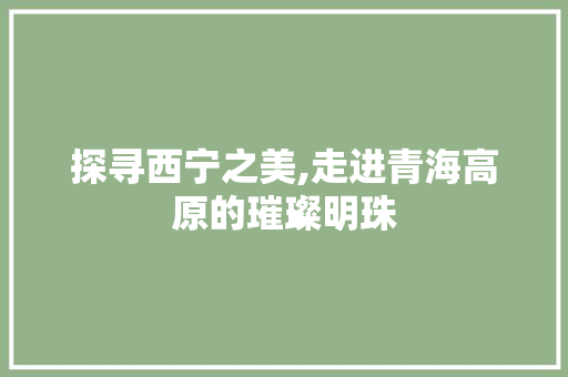 探寻西宁之美,走进青海高原的璀璨明珠