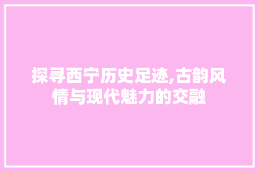 探寻西宁历史足迹,古韵风情与现代魅力的交融