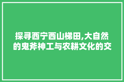 探寻西宁西山梯田,大自然的鬼斧神工与农耕文化的交融