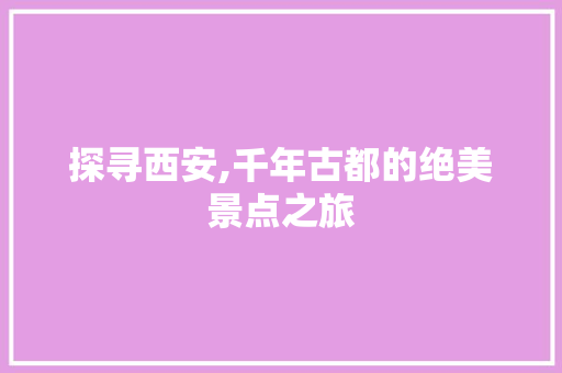 探寻西安,千年古都的绝美景点之旅