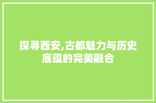 探寻西安,古都魅力与历史底蕴的完美融合