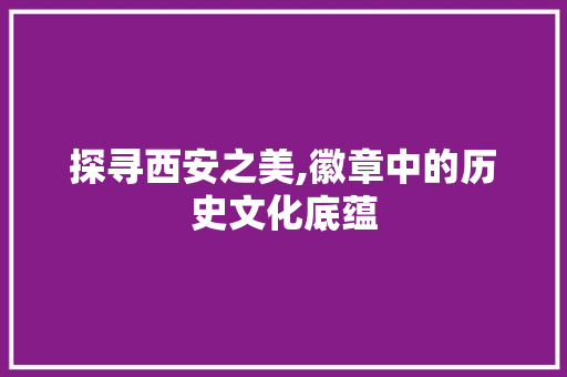 探寻西安之美,徽章中的历史文化底蕴