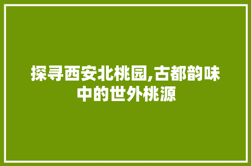 探寻西安北桃园,古都韵味中的世外桃源