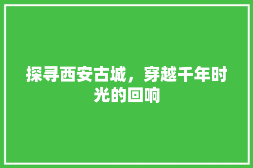 探寻西安古城，穿越千年时光的回响