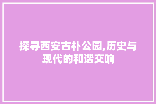 探寻西安古朴公园,历史与现代的和谐交响