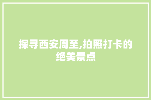 探寻西安周至,拍照打卡的绝美景点