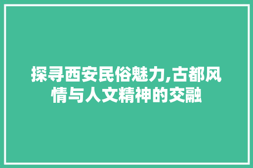 探寻西安民俗魅力,古都风情与人文精神的交融