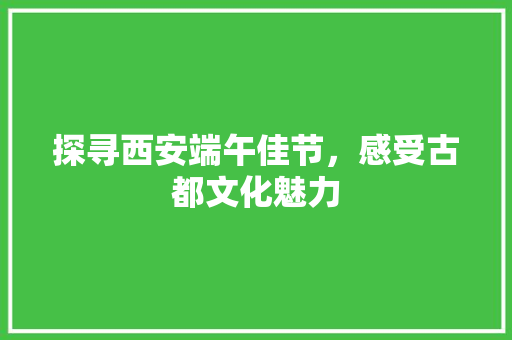 探寻西安端午佳节，感受古都文化魅力