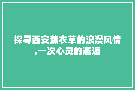 探寻西安薰衣草的浪漫风情,一次心灵的邂逅