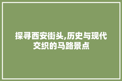 探寻西安街头,历史与现代交织的马路景点