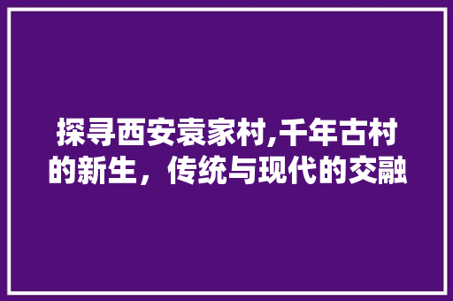 探寻西安袁家村,千年古村的新生，传统与现代的交融