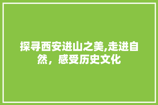 探寻西安进山之美,走进自然，感受历史文化