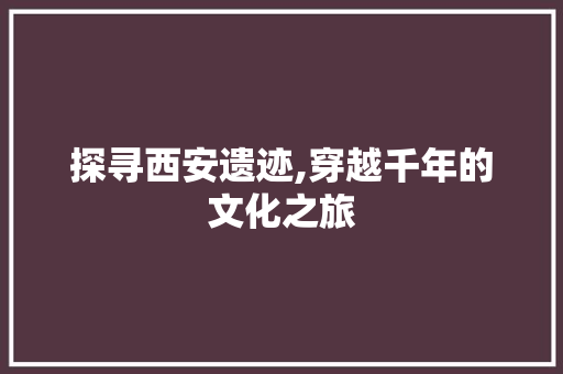 探寻西安遗迹,穿越千年的文化之旅