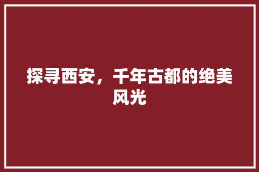 探寻西安，千年古都的绝美风光