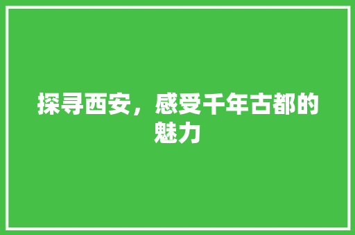 探寻西安，感受千年古都的魅力