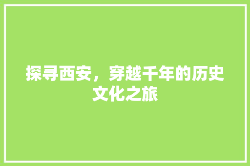 探寻西安，穿越千年的历史文化之旅