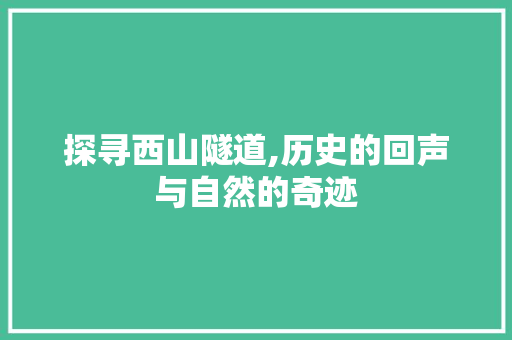 探寻西山隧道,历史的回声与自然的奇迹