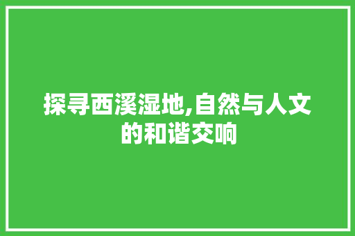 探寻西溪湿地,自然与人文的和谐交响