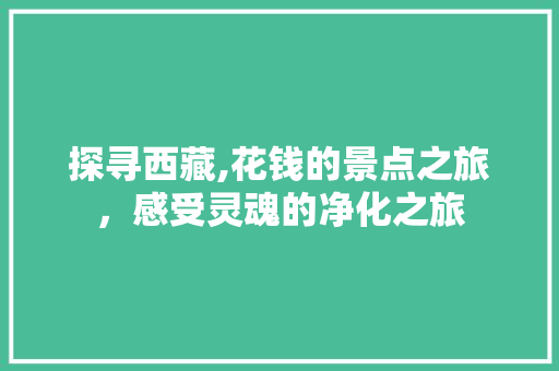 探寻西藏,花钱的景点之旅，感受灵魂的净化之旅