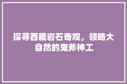 探寻西藏岩石奇观，领略大自然的鬼斧神工