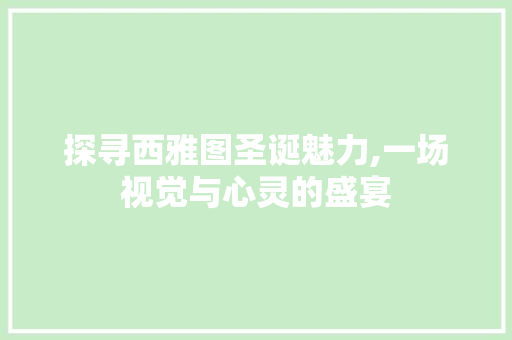 探寻西雅图圣诞魅力,一场视觉与心灵的盛宴