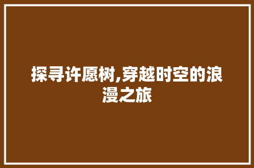 探寻许愿树,穿越时空的浪漫之旅