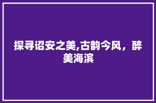 探寻诏安之美,古韵今风，醉美海滨