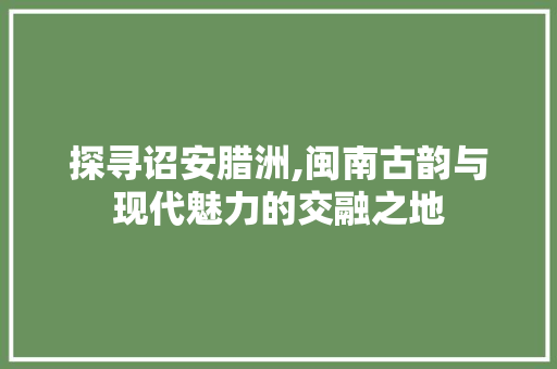 探寻诏安腊洲,闽南古韵与现代魅力的交融之地