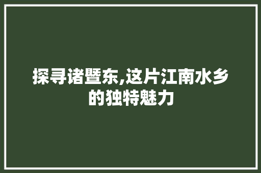 探寻诸暨东,这片江南水乡的独特魅力