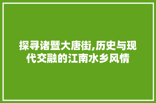 探寻诸暨大唐街,历史与现代交融的江南水乡风情