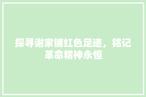 探寻谢家铺红色足迹，铭记革命精神永恒  第1张