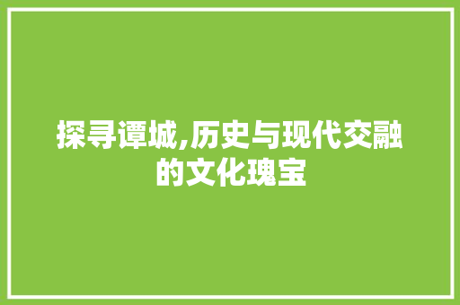 探寻谭城,历史与现代交融的文化瑰宝