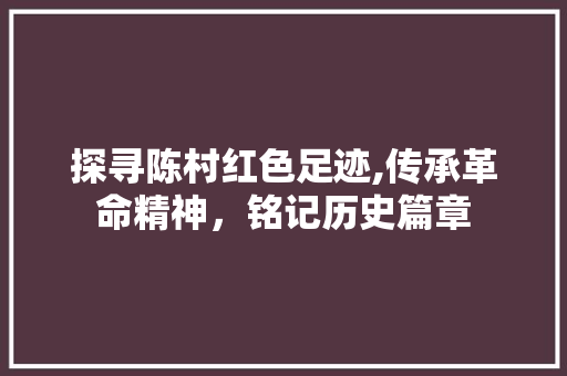 探寻陈村红色足迹,传承革命精神，铭记历史篇章