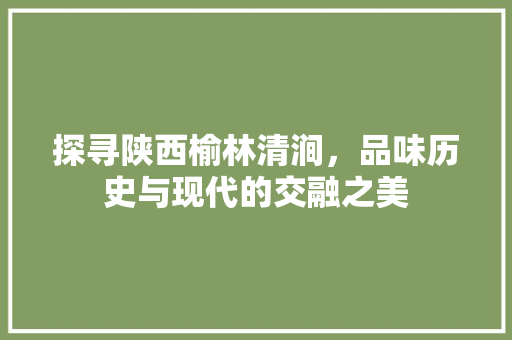 探寻陕西榆林清涧，品味历史与现代的交融之美