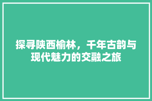 探寻陕西榆林，千年古韵与现代魅力的交融之旅